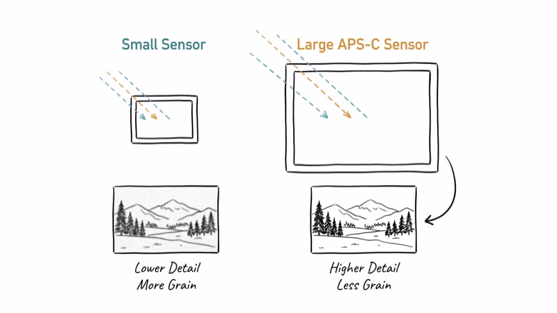 Small sensor versus large APS-C sensor with image quality comparison