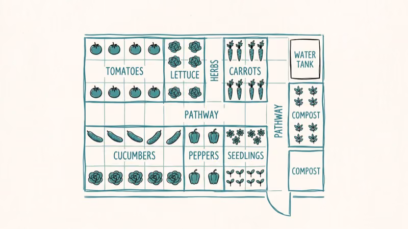 Stardew Valley greenhouse layout with optimal crop and fruit tree placement