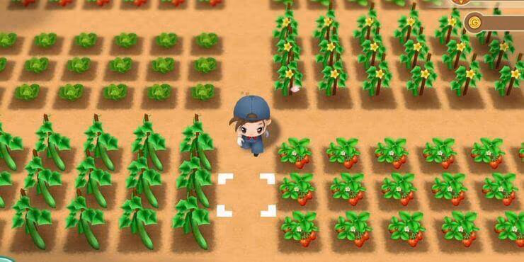 Story Of Seasons: Friends Of Mineral Town