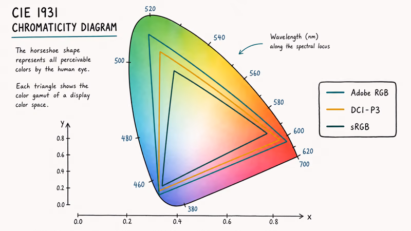 Chromaticity diagram comparing Adobe RGB, sRGB, and DCI-P3 color gamut coverage triangles for photo editing