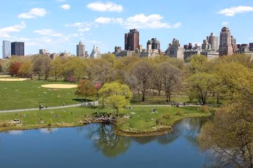 Best Places for Pokémon Go - Central Park, New York