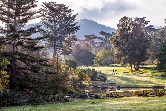 Golden Gate Park, San Fransisco