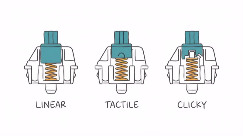 Three mechanical keyboard switches in cross-section showing linear tactile and clicky types