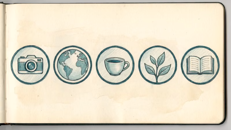 Instagram highlight covers with blank names showing clean icon-only layout