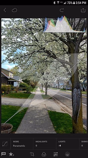 How to Blur Background in Lightroom Using Lightroom Mobile