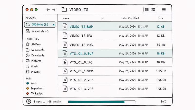 VIDEO_TS folder view listing BUP, IFO, and VOB files with file type icons