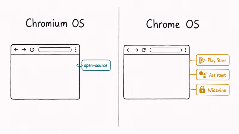 Open-source Chromium OS compared to Google Chrome OS with Play Store and DRM features