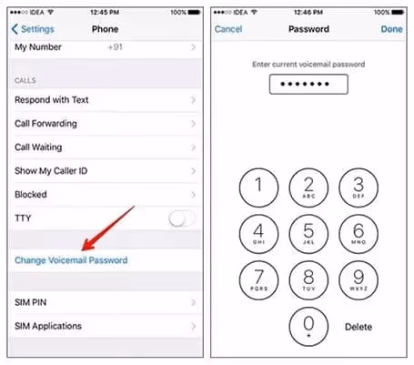 Reset the password of the apple Voicemail