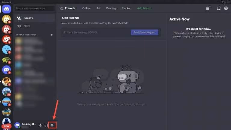 Discord User Settings