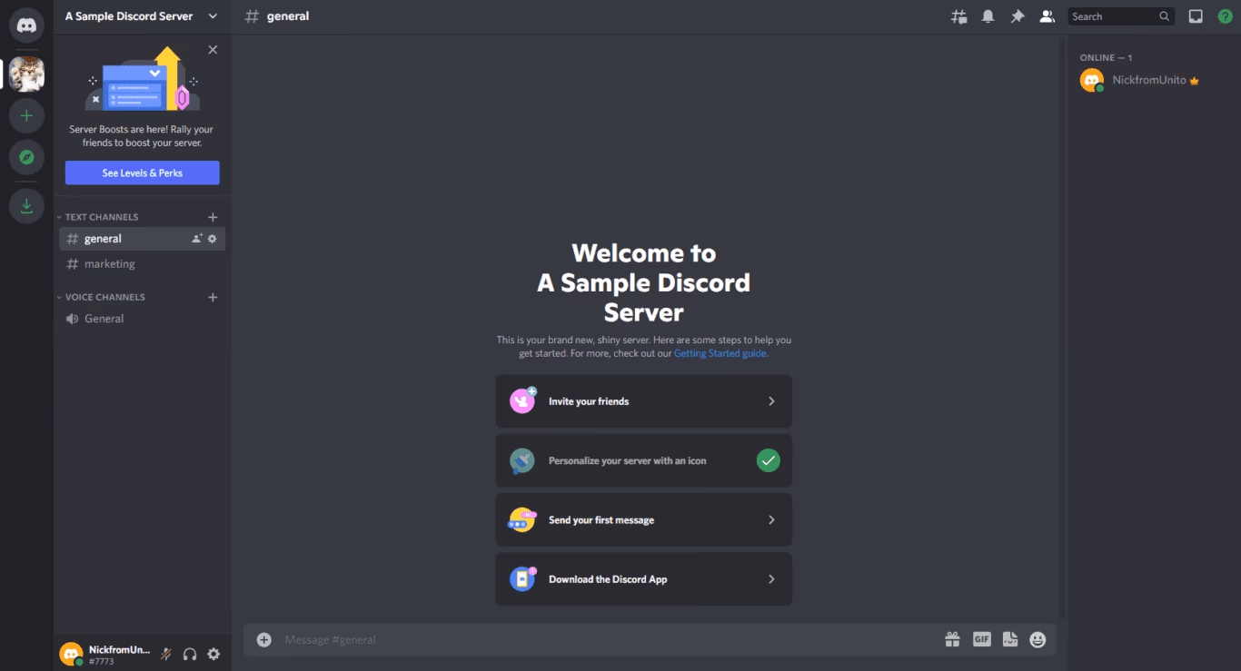 Discord Interface