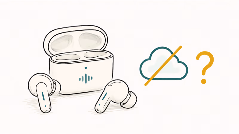 Translation earbuds shown with an offline icon and a question mark asking whether they work without internet