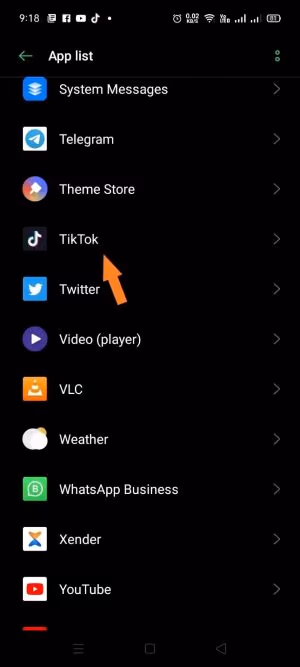 Select TikTok on App List