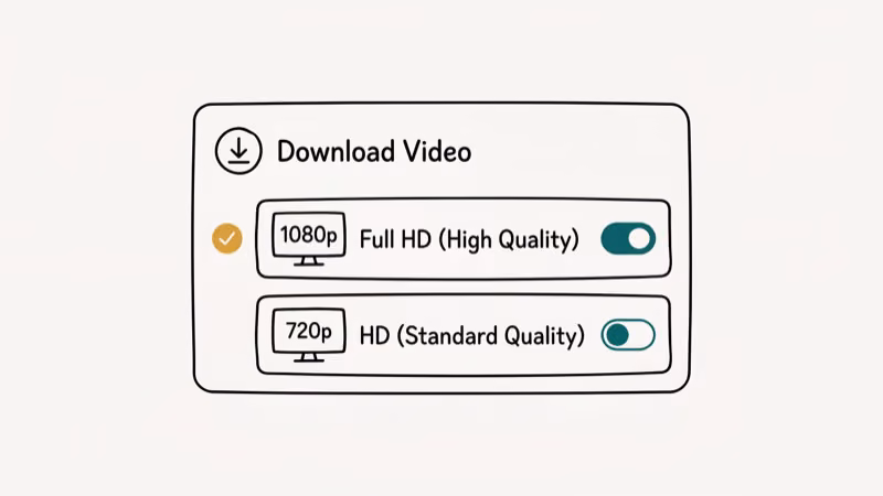 Illustration of quality options for download bilibili video