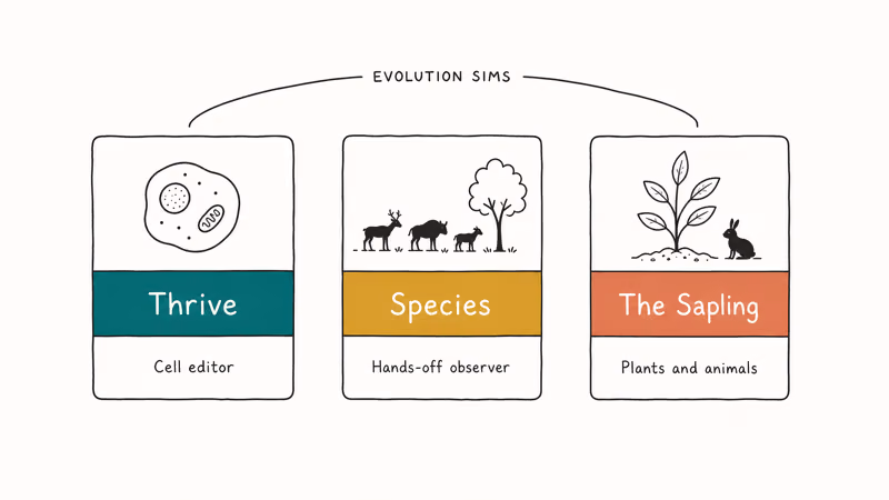 Three hand-drawn cards for Thrive Species and Sapling evolution sims under arc banner