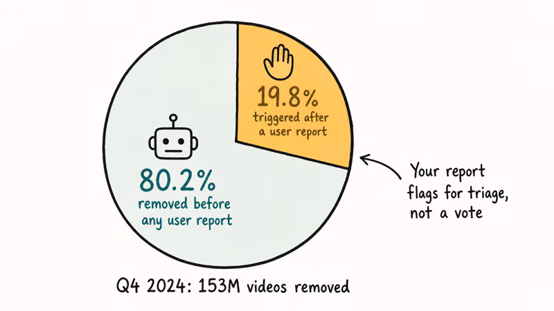Pie chart showing eighty percent TikTok removals automated before any user report