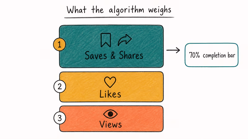 Three-tier ranking showing saves and shares outweigh likes and views in TikTok algorithm