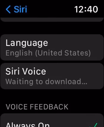 Change the Voice of Maps in Your Apple Watch