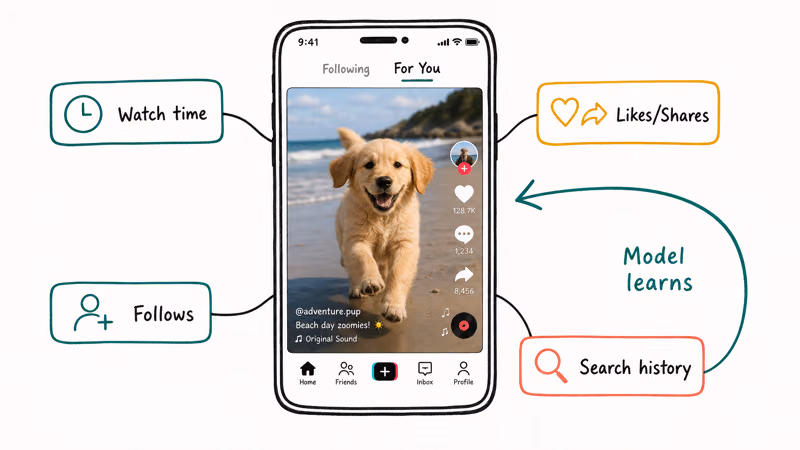 TikTok For You feed phone with four signal tags watch time likes follows and search history feeding back