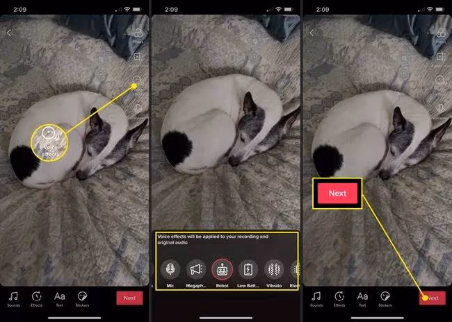 How to Change Your Voice on TikTok Using the Traditional Way