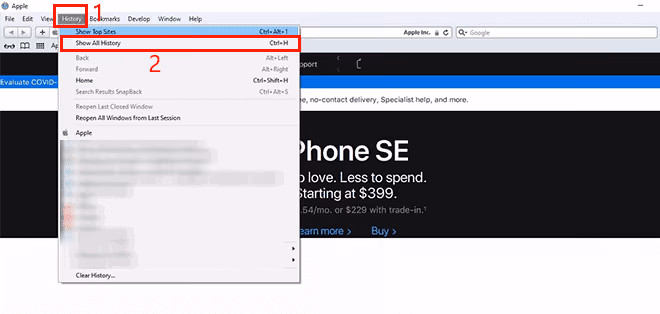 History of Safari Browser