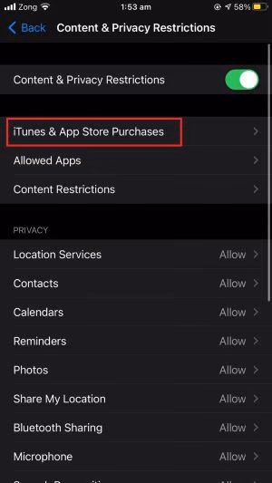 iTunes and App Store Purchases