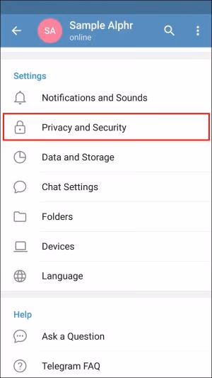 Tap on the Privacy and Security option