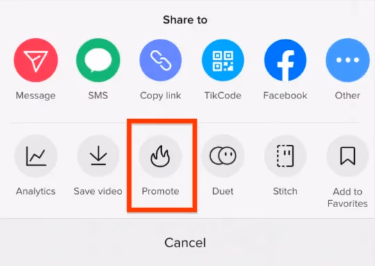 Consider Paid Promotion Options