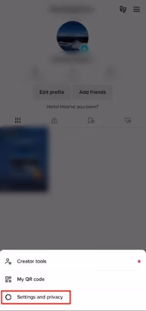 Tiktok Settings and privacy