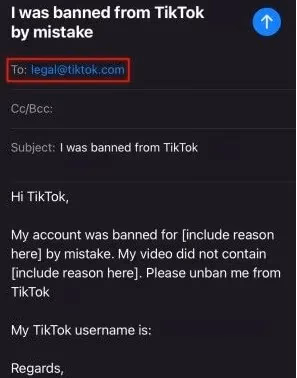 Email Tiktok Support