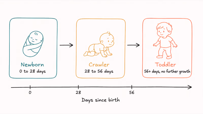 Horizontal timeline of three Stardew Valley child growth stages with day counts and silhouettes for newborn crawler and