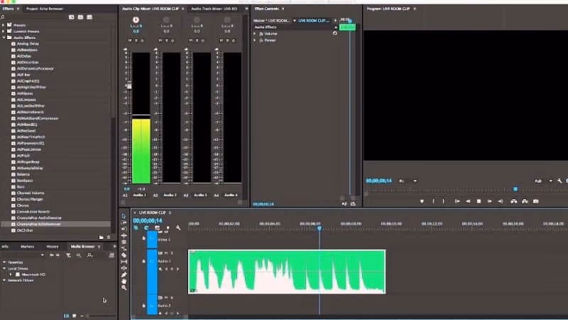 How to remove reverb from audio using Adobe Premiere Pro