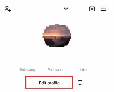 Edit TikTok Profile