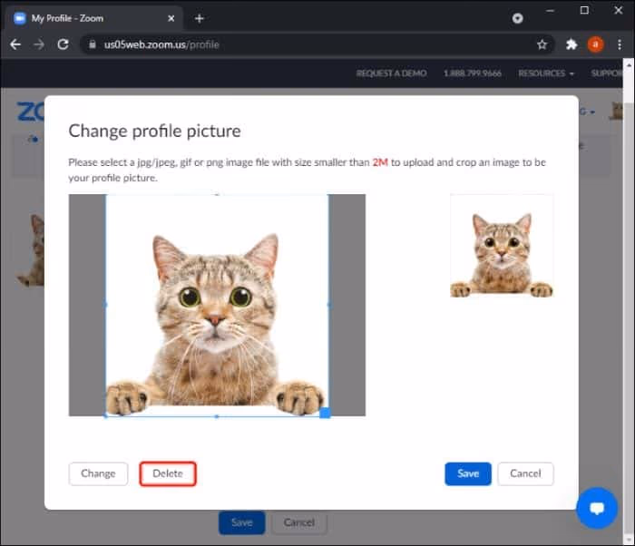 Remove Zoom Profile Picture on a PC