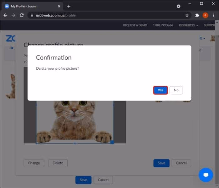 Confirm to Delete Zoom Profile