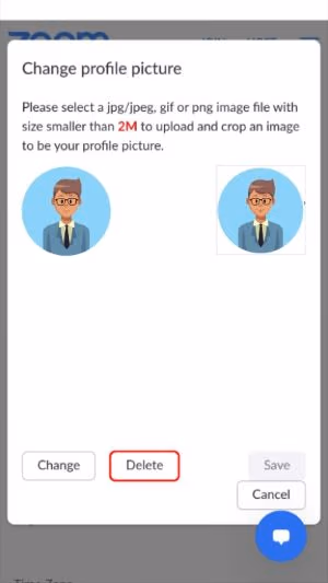 Delete Zoom Profile