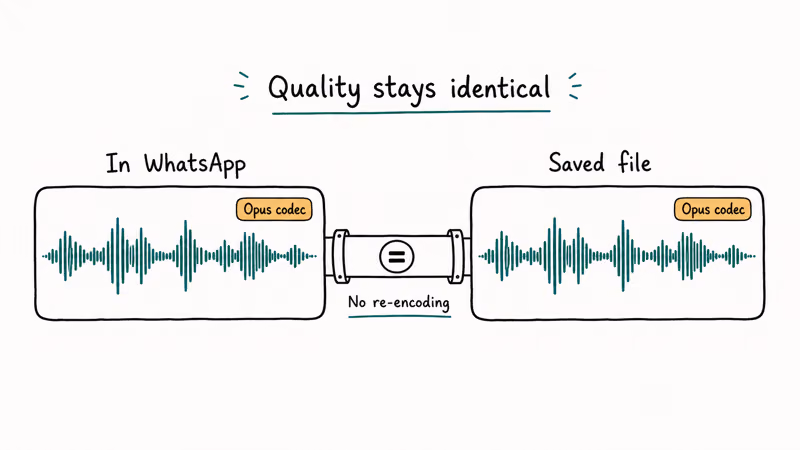 Side by side audio waveform diagram showing identical Opus codec quality between WhatsApp and saved file.