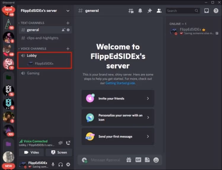 Choose the server and select the voice channel