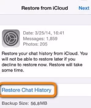Restore Chat History from iCloud
