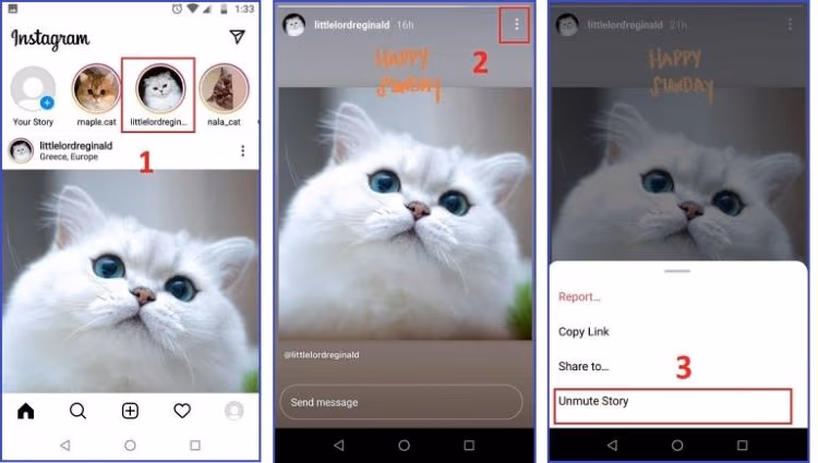 Unmute Story on Instagram