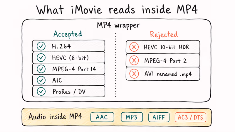Hand-drawn diagram showing which video and audio codecs iMovie accepts inside MP4 containers