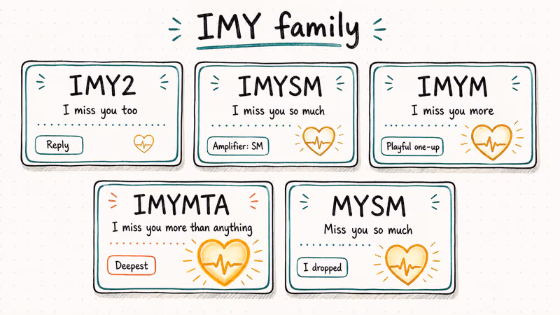 Common IMY variants grid showing IMY2, IMYSM, IMYM, IMYMTA, and MYSM amplifiers