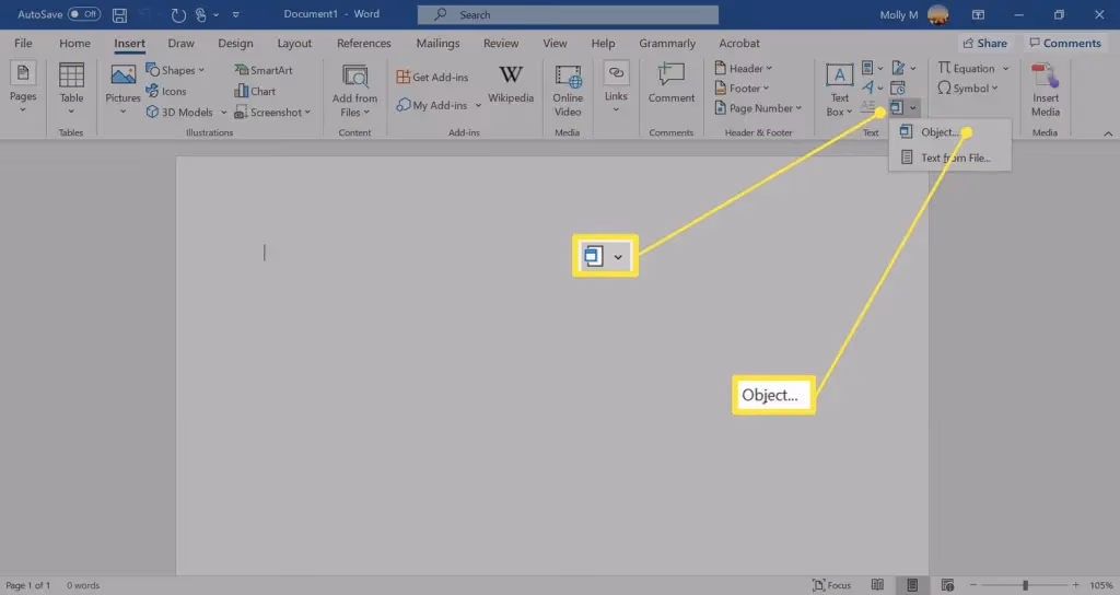 Insert Pdf As An Object