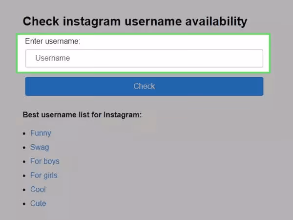 Enter Instagram username to Check