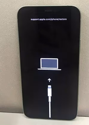 iPhone 12 Stuck on Recovery Mode