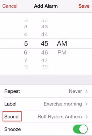 Ensure Setting Up the Alarm Sound to Fix iPhone Alarm Not Going Off
