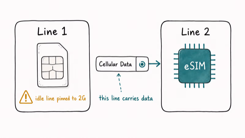 Two SIM lines illustrated with data selector showing which line carries cellular data