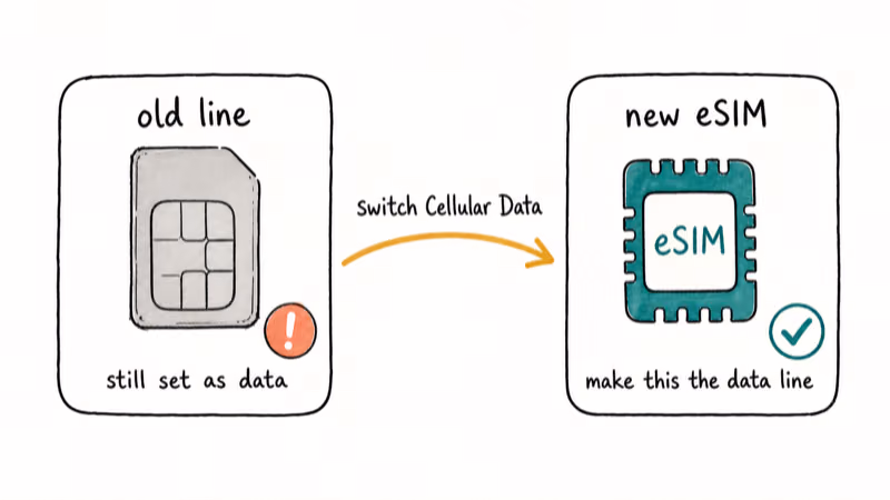 Dual SIM illustration marking the default data line with old physical SIM grayed out