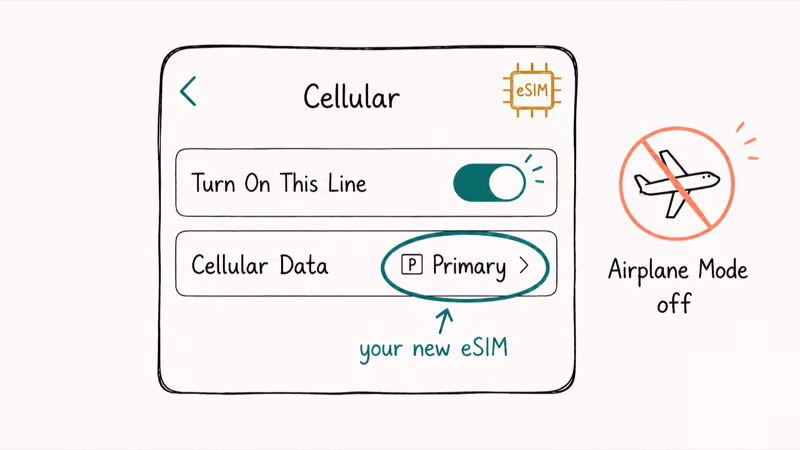 Hand-drawn Cellular settings showing Turn On This Line toggle and cellular data line selector