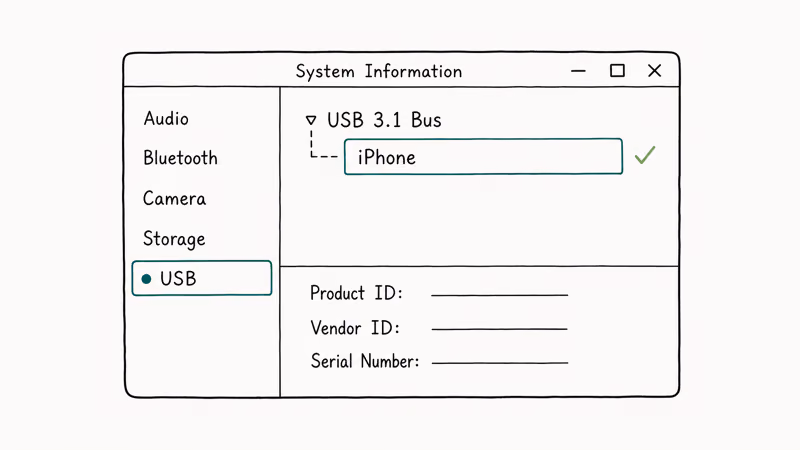 Mac System Information window showing iPhone detected under the USB device tree with product details