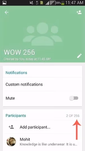 Whatsapp Group Chats